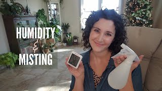 Humidity & Misting | General Winter Plant Care