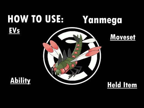 Competitive Guides- How To Use Yanmega