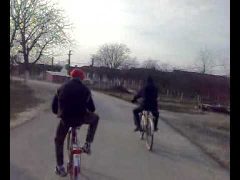 un mos gay de la ictar