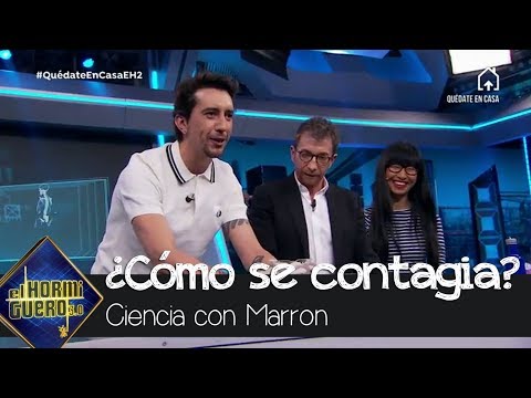 ¿Cómo se contagia un virus? Marron lo explica - El Hormiguero 3.0
