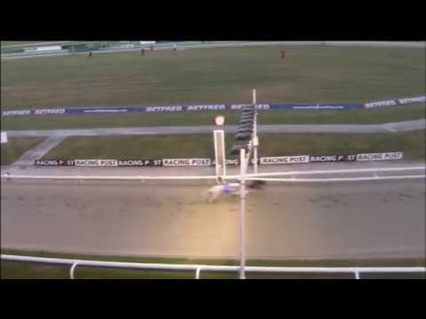 2018 SELECT STAKES - T4 BRINKLEYS POET