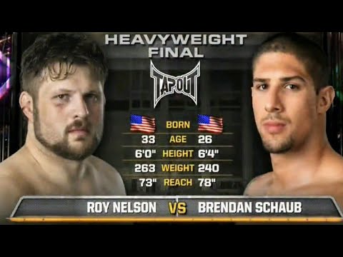 Roy Nelson vs Brendan Schaub TUF Season 10 Finale