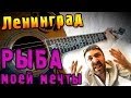 Ленинград - Рыба моей мечты (Урок под гитару) 