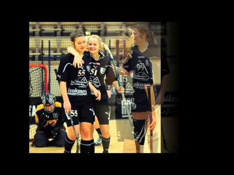Landskrona Falcons A tjejer 2010 11