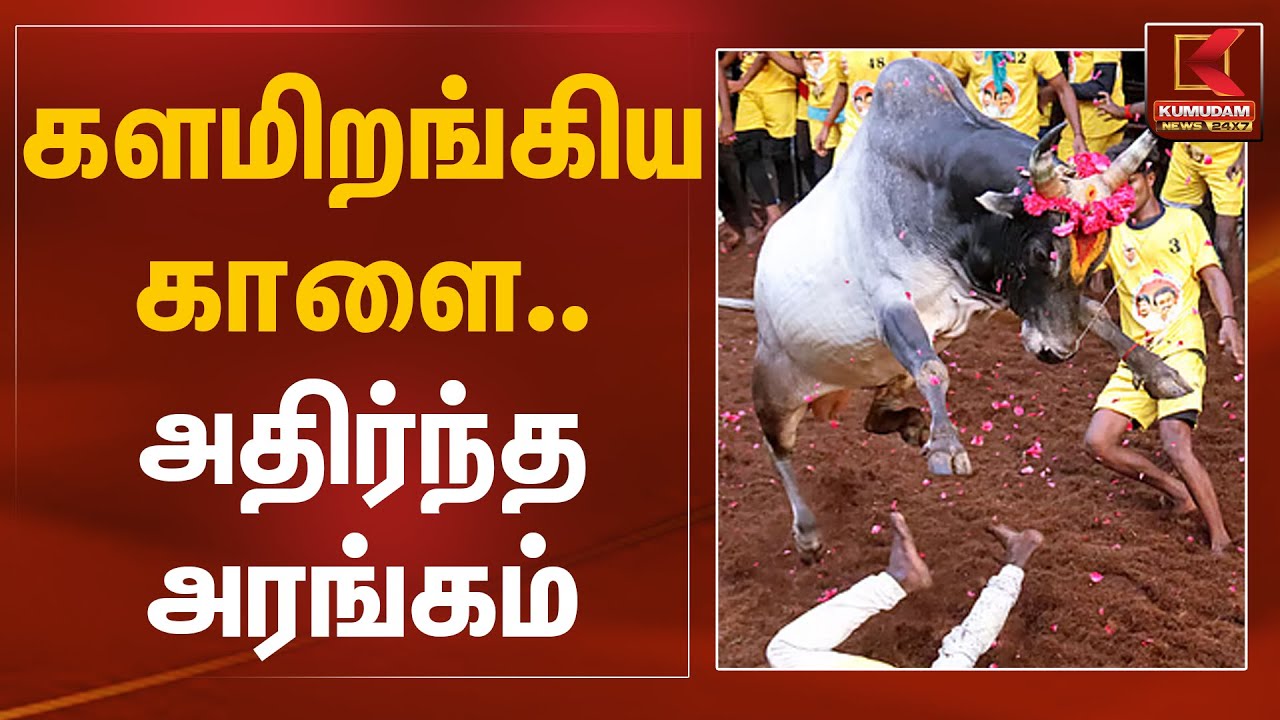 களமிறங்கிய காளை🐂.. அதிர்ந்த அரங்கம்🔥| Alanganallur Jallikattu | Kumudam News