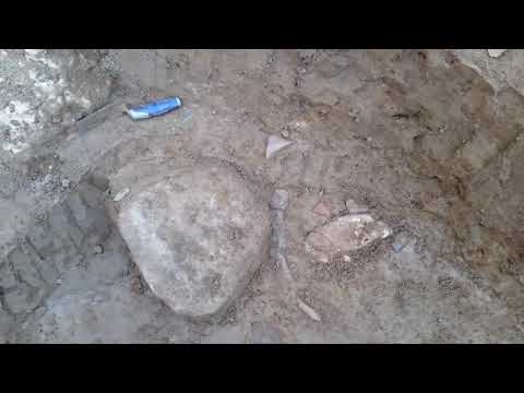 download lagu mp3 mp4 Olive Branch Halloween, download lagu Olive Branch Halloween gratis, unduh video klip Olive Branch Halloween