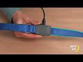 NiteDog laisse pour chien lumineuse 150cm rechargeable bleu | video 1