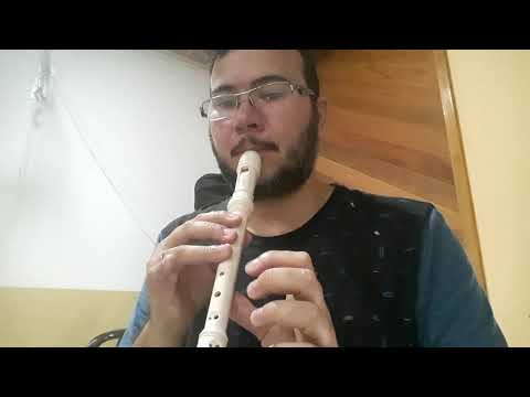 Melhor forma de estudar flauta!