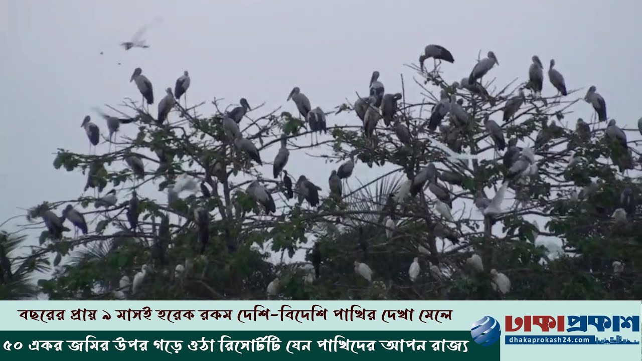 শীত শেষ হলেও অরুণিমা ছাড়েনি বিদেশি পাখিরা