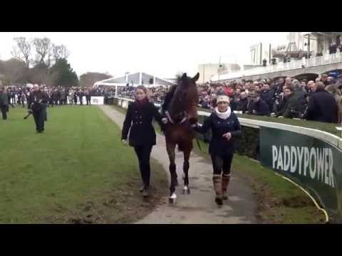 Three cracking novices - Clarcam, Gilgamboa and Un de Sceaux