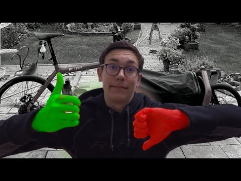 Larry vs Harry BULLITT Lastenrad Review (Komponenten, Bafang, Preis)