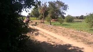 My son was riding in horse for 13years old