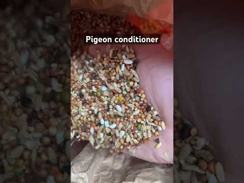 Carp baits,easy to prepare and cheap to buy #carpfish #carpfishing #carpbites&runsuk