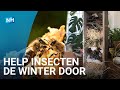 Zo bouw je zelf een insectenhotel