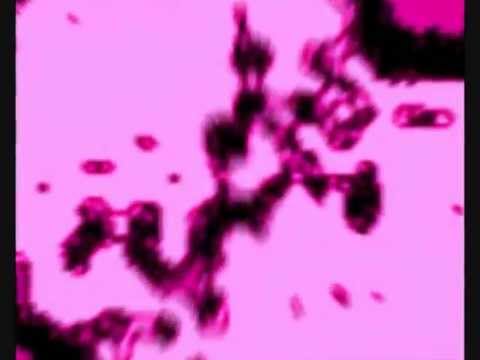 TRANCE-REVIX  VIAJE POR LA ETERNIDAD