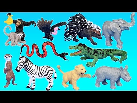 Jungle Adventure Wild Animals Playset For Kids - Animal Toys Video
