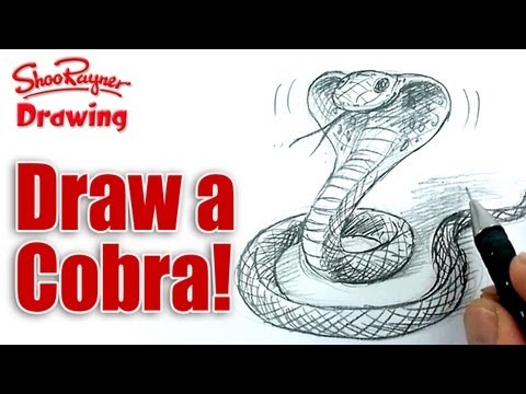 How to draw a Cobra snake | Shoo Rayner
