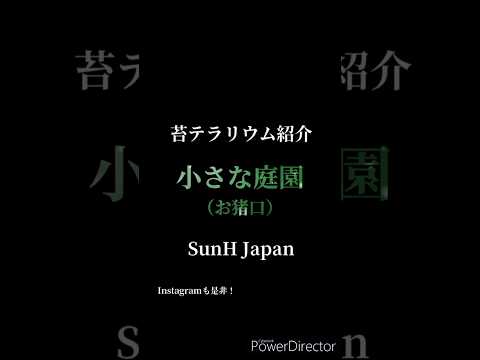 苔と紐を使った空中庭園、素晴らしいアイデアですね！  庭園