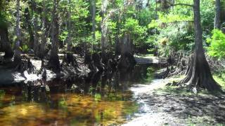 preview picture of video 'Fisheating Creek, Glades County, Florida'