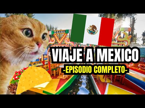 VIAJE A MEXICO , episodio completo (meme de gatos)
