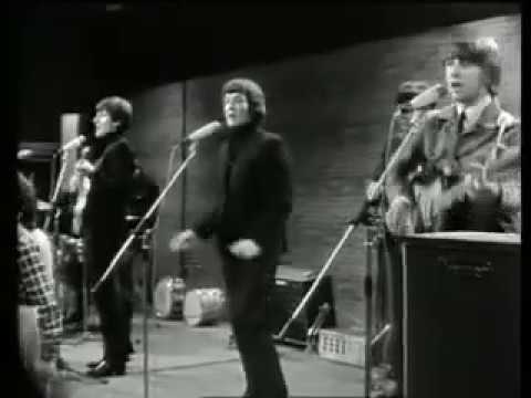 Hollies - Look Through Any Window (1965)