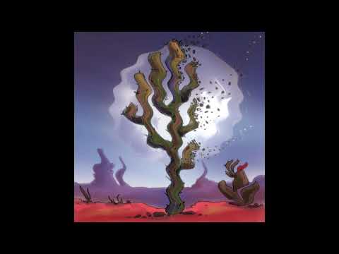 Sun Mutsis Mutsi - Cactus