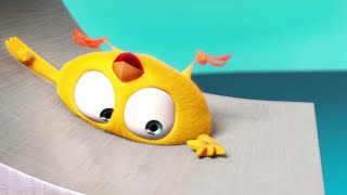 Watch out, don't fall! | Where's Chicky? | Cartoon Collection in English for Kids | New episodes