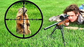 Groundhog Hunting with .22LR (Scope Cam)