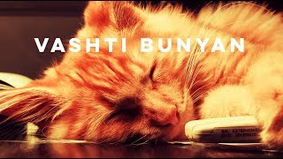 Vashti Bunyan - I&#39;d Like to walk Around in Your Mind (re-mastered)
