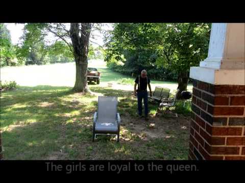 Memorial Day 2014 Bee Swarm Movie