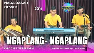Download lagu Ngaplang ngaplang karaoke - Dede risty nada cewek Cm versi tarling bajidor mp3