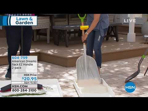 American Dreams Back EZ Handle 2pack