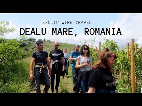 Romanian Wine from Dealu Mare