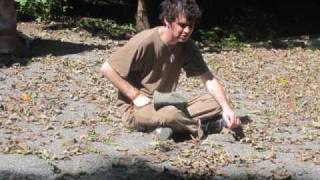 Avey Tare- Crumbling Land
