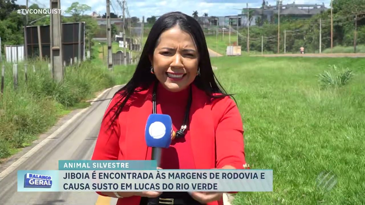 Jiboia é resgatada pelos Bombeiros às margens da MT-449 em Lucas do Rio Verde