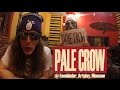 PALE CROW приглашают на CSBR gig 2015/17/05 