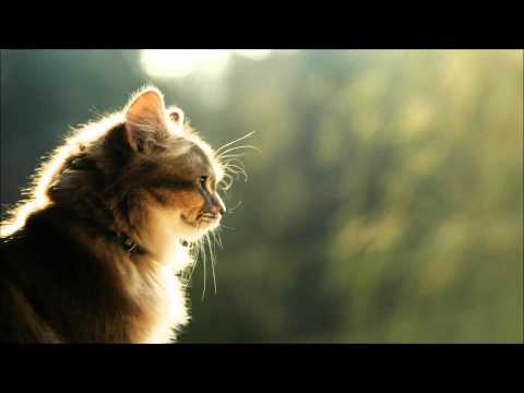 Sidesmokers - No More (Mango pres. Shoreliners Remix)