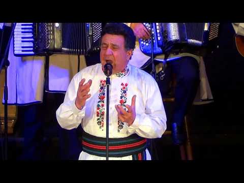 BORIS STANOJEVIĆ - "Propio se Dujčin Petar"