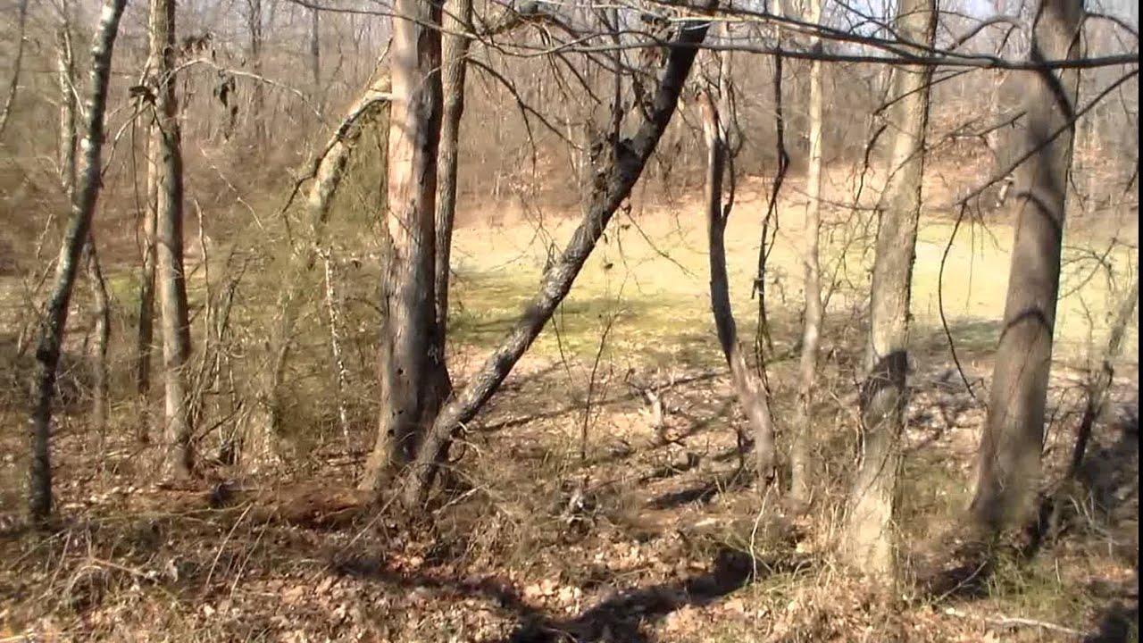Hunting Kentucky Private Land: Mastering Crop Field Pinch Points