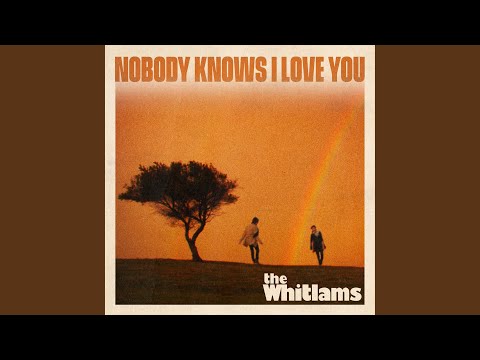 Video thumbnail for Nobody Knows I Love You