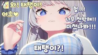 와 태탱이 미쳤다 (w. 테리눈나)