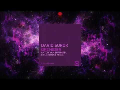 David Surok - Orchidea (Anton van Sprundel & Six Senses Extended Remix) [LEVITATED MUSIC]