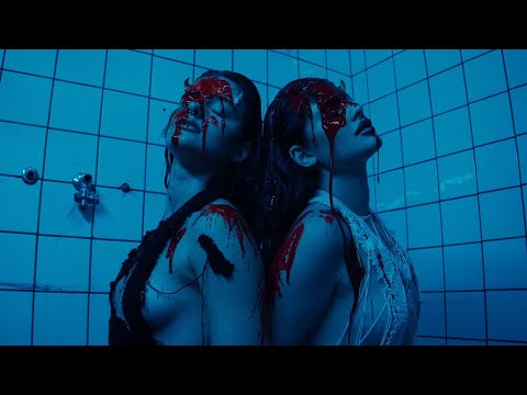 Vizelj - Šta je stid?