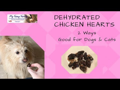2nd YouTube video about are chicken hearts good for dogs
