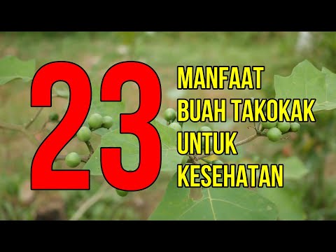 Masya Allah, Inilah 23 Manfaat Buah Takokak Untuk Kesehatan