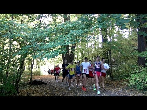 Herbstcross Bad Köstritz 2008
