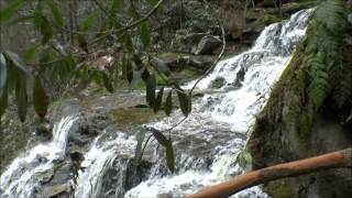 preview picture of video 'Waterfalls on Shays Run (Elakala Falls), Blackwater Falls State Park, Davis, WV'