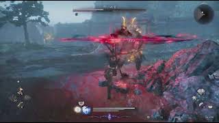 仁王３【堀江の徒桜】