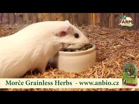 , title : 'JR Farm Morče Grainless Herbs 400 g'