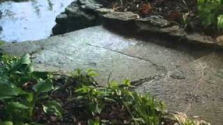 Pat Metheny in the Rain...Sueno con Mexico